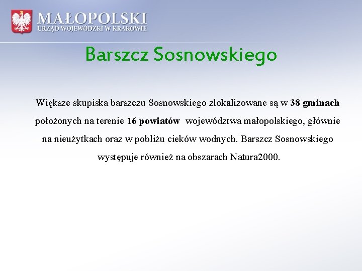 Barszcz Sosnowskiego Większe skupiska barszczu Sosnowskiego zlokalizowane są w 38 gminach położonych na terenie