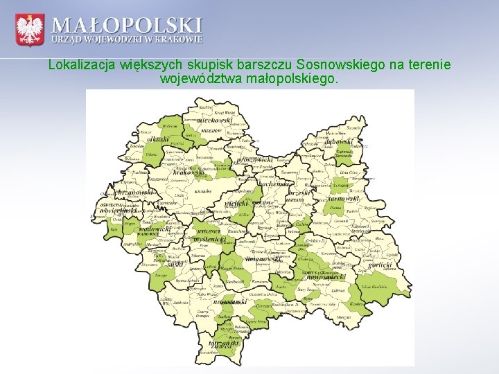 Lokalizacja większych skupisk barszczu Sosnowskiego na terenie województwa małopolskiego. 