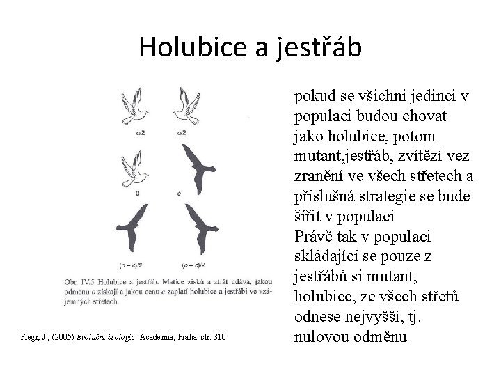 Holubice a jestřáb Flegr, J. , (2005) Evoluční biologie. Academia, Praha. str. 310 pokud