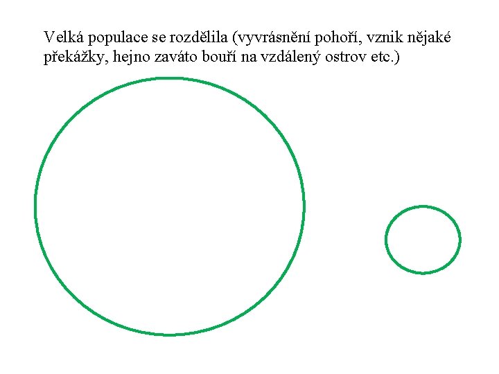 Velká populace se rozdělila (vyvrásnění pohoří, vznik nějaké překážky, hejno zaváto bouří na vzdálený