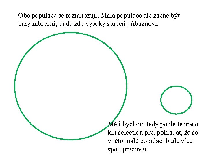 Obě populace se rozmnožují. Malá populace ale začne být brzy inbrední, bude zde vysoký