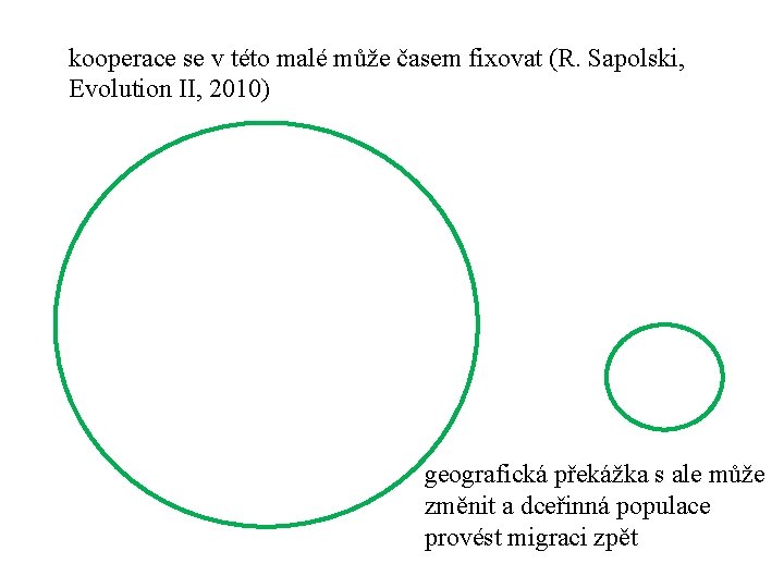 kooperace se v této malé může časem fixovat (R. Sapolski, Evolution II, 2010) geografická