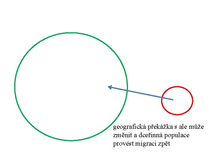 geografická překážka s ale může změnit a dceřinná populace provést migraci zpět 