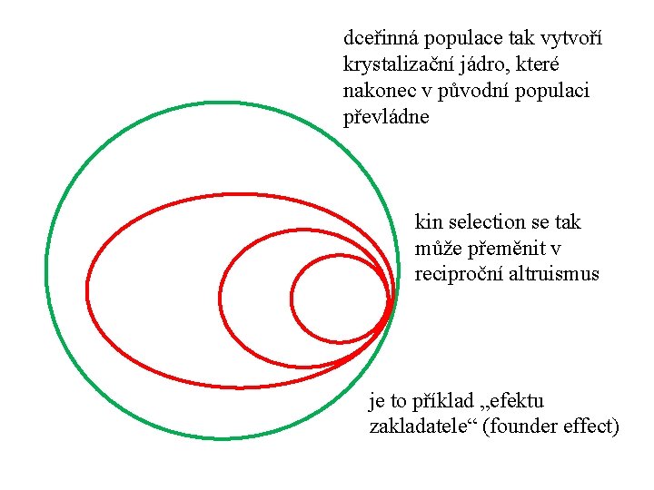 dceřinná populace tak vytvoří krystalizační jádro, které nakonec v původní populaci převládne kin selection