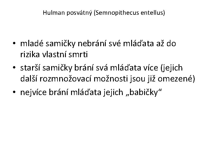 Hulman posvátný (Semnopithecus entellus) • mladé samičky nebrání své mláďata až do rizika vlastní