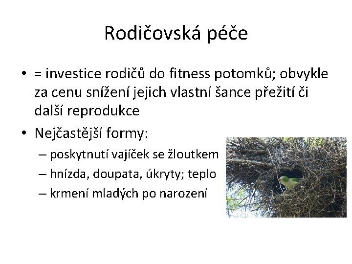 Rodičovská péče • = investice rodičů do fitness potomků; obvykle za cenu snížení jejich