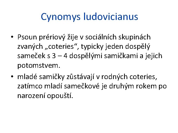 Cynomys ludovicianus • Psoun prériový žije v sociálních skupinách zvaných „coteries“, typicky jeden dospělý