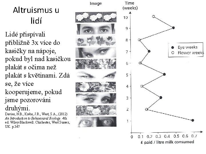 Altruismus u lidí Lidé přispívali přibližně 3 x více do kasičky na nápoje, pokud