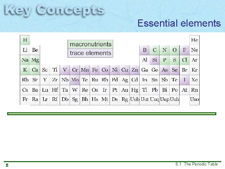 Essential elements 5 6. 1 The Periodic Table 