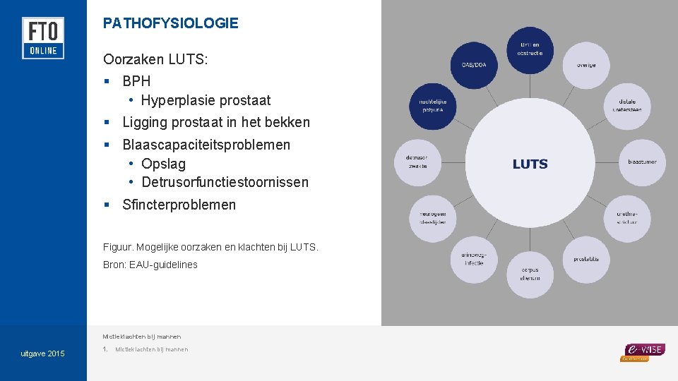 PATHOFYSIOLOGIE Oorzaken LUTS: § BPH • Hyperplasie prostaat § Ligging prostaat in het bekken