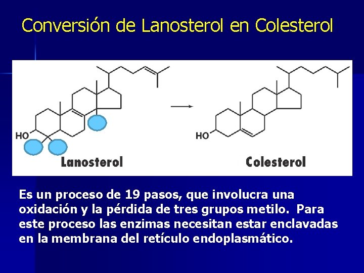 Conversión de Lanosterol en Colesterol Es un proceso de 19 pasos, que involucra una