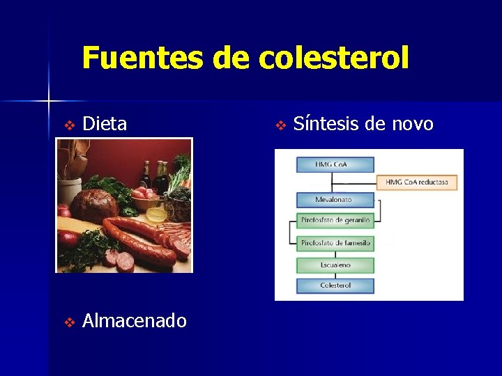 Fuentes de colesterol v Dieta v Almacenado v Síntesis de novo 