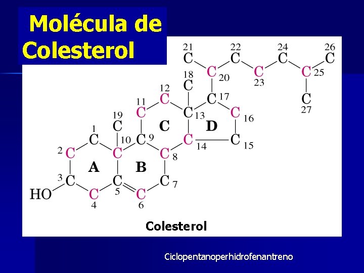 Molécula de Colesterol Ciclopentanoperhidrofenantreno 