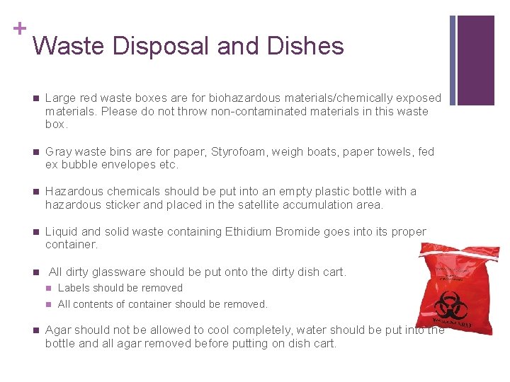 + Waste Disposal and Dishes n Large red waste boxes are for biohazardous materials/chemically
