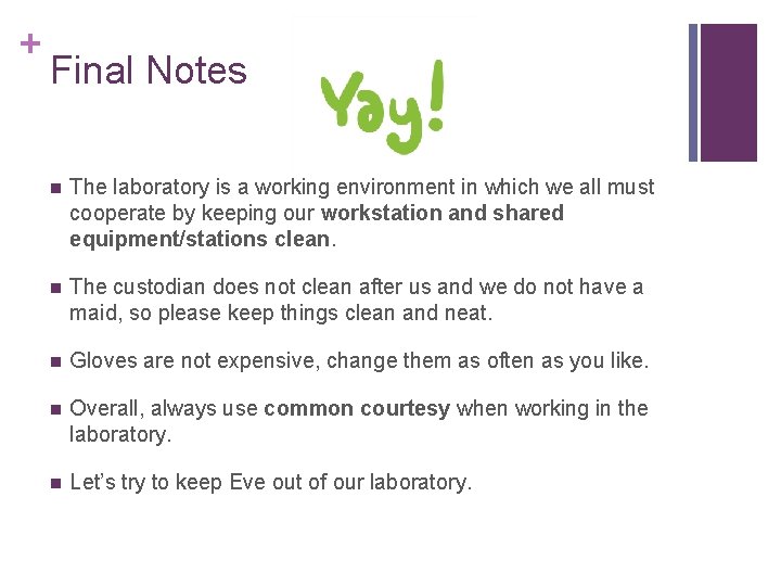 + Final Notes n The laboratory is a working environment in which we all