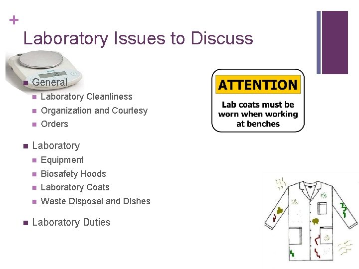 + Laboratory Issues to Discuss n n n General n Laboratory Cleanliness n Organization