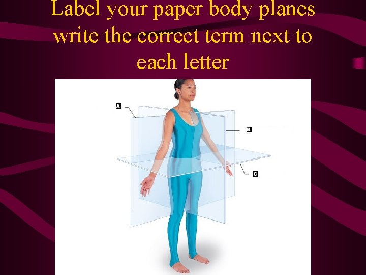 Label your paper body planes write the correct term next to each letter  Label your paper body planes write the correct term next to each letter