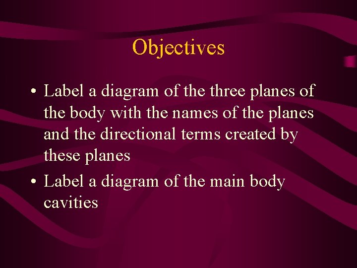 Objectives • Label a diagram of the three planes of the body with the Objectives • Label a diagram of the three planes of the body with the