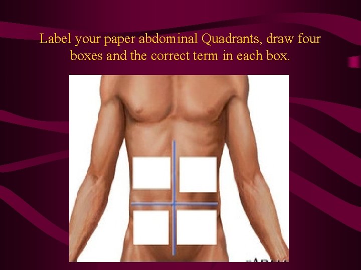 Label your paper abdominal Quadrants, draw four boxes and the correct term in each Label your paper abdominal Quadrants, draw four boxes and the correct term in each