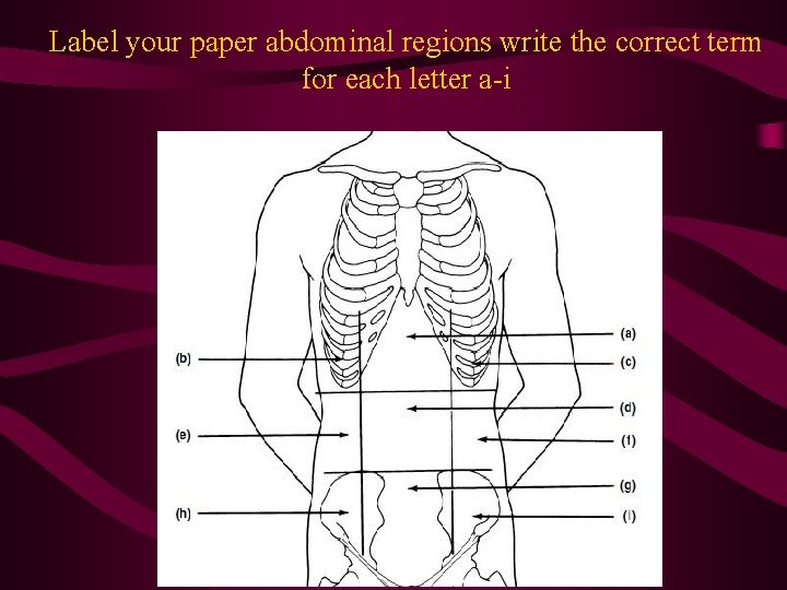 Label your paper abdominal regions write the correct term for each letter a-i  Label your paper abdominal regions write the correct term for each letter a-i