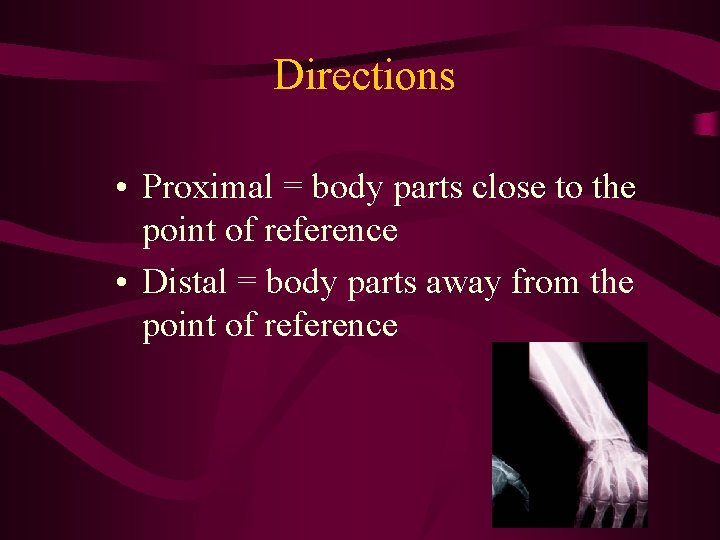 Directions • Proximal = body parts close to the point of reference • Distal Directions • Proximal = body parts close to the point of reference • Distal