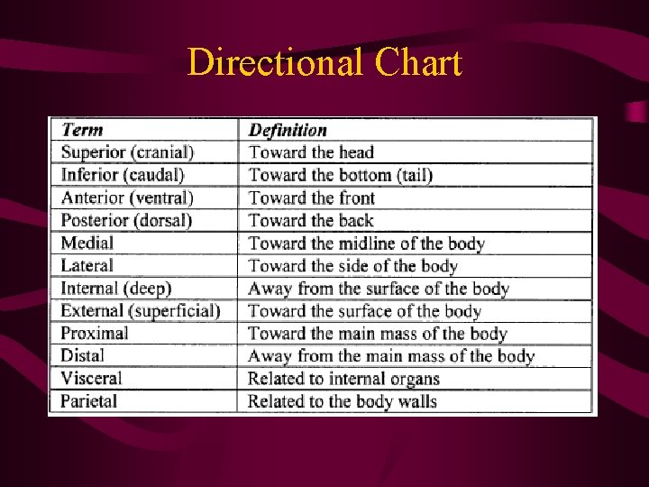 Directional Chart  Directional Chart