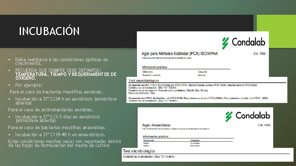 INCUBACIÓN • Debe realizarse a las condiciones óptimas de crecimiento. • RECUERDA QUE SIEMPRE