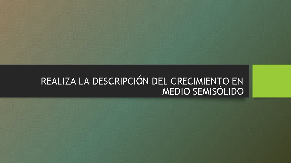 REALIZA LA DESCRIPCIÓN DEL CRECIMIENTO EN MEDIO SEMISÓLIDO 