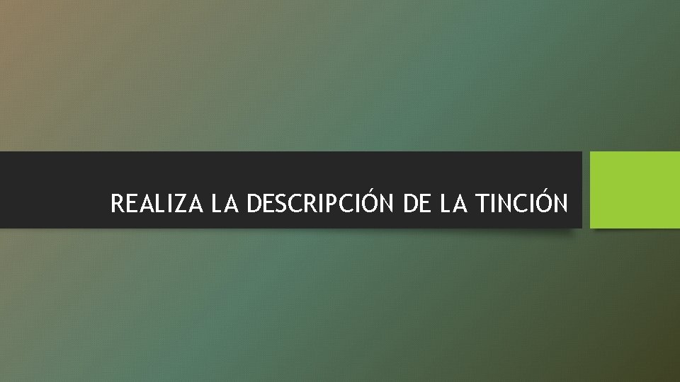 REALIZA LA DESCRIPCIÓN DE LA TINCIÓN 