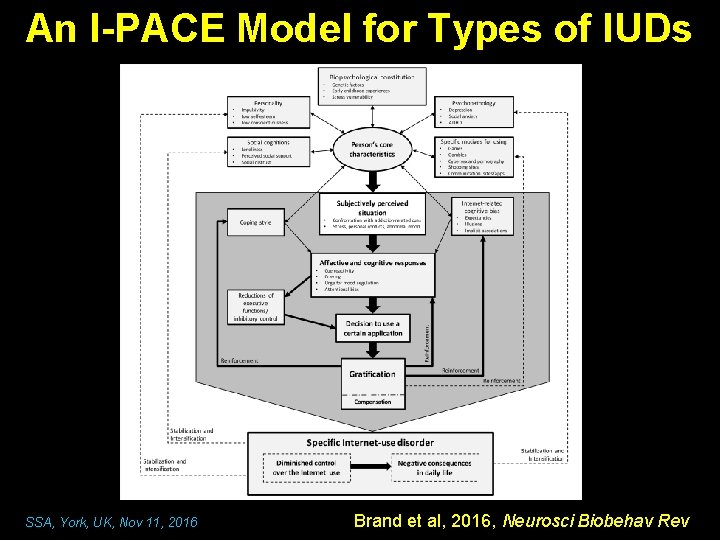 An I-PACE Model for Types of IUDs SSA, York, UK, Nov 11, 2016 Brand