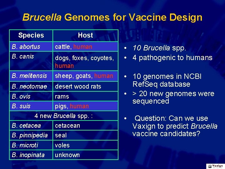Brucella Genomes for Vaccine Design Species Host B. abortus cattle, human B. canis dogs,