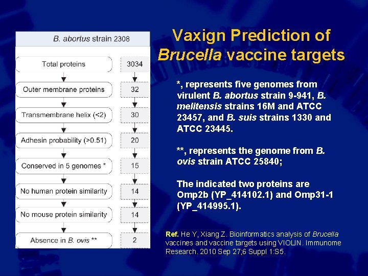Vaxign Prediction of Brucella vaccine targets *, represents five genomes from virulent B. abortus