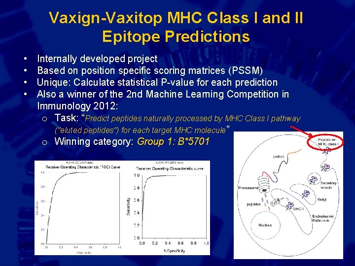 Vaxign-Vaxitop MHC Class I and II Epitope Predictions • • Internally developed project Based