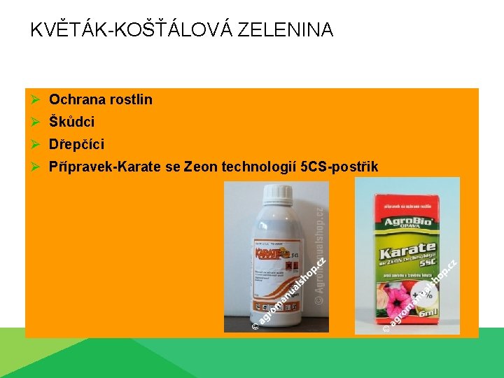 KVĚTÁK-KOŠŤÁLOVÁ ZELENINA Ø Ochrana rostlin Ø Škůdci Ø Dřepčíci Ø Přípravek-Karate se Zeon technologií