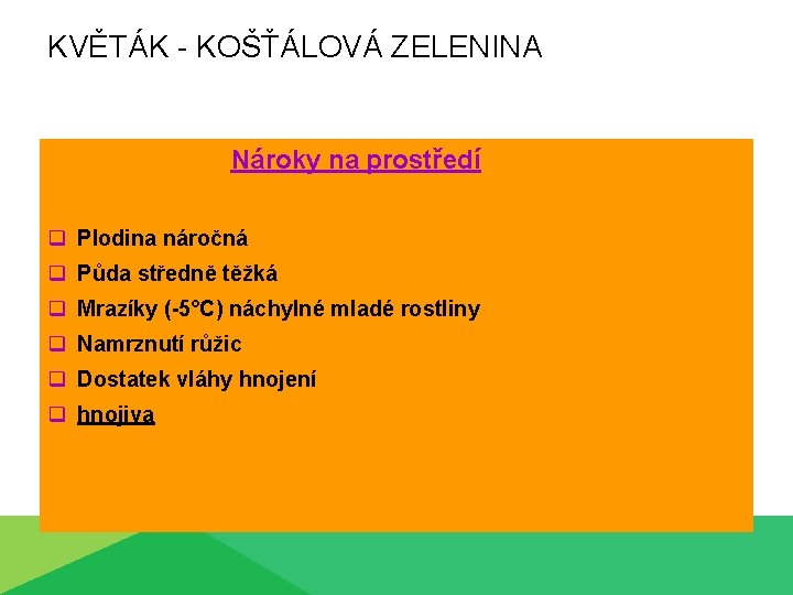 KVĚTÁK - KOŠŤÁLOVÁ ZELENINA Nároky na prostředí q Plodina náročná q Půda středně těžká