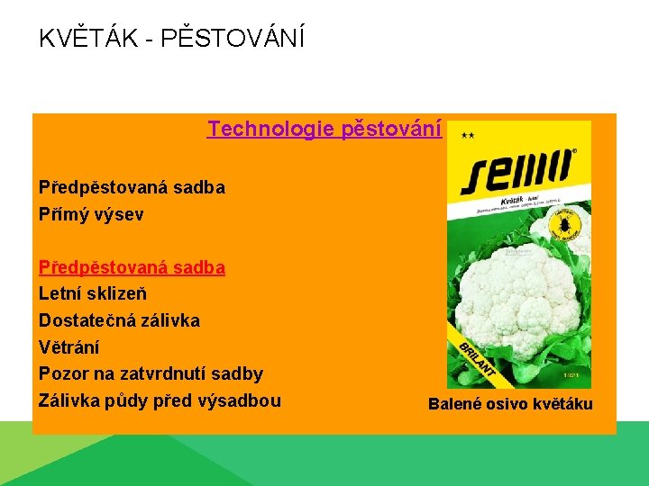 KVĚTÁK - PĚSTOVÁNÍ Technologie pěstování Předpěstovaná sadba Přímý výsev Předpěstovaná sadba Letní sklizeň Dostatečná