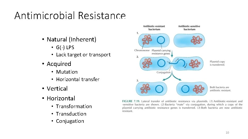 Antimicrobial Resistance • Natural (Inherent) • G(-) LPS • Lack target or transport •