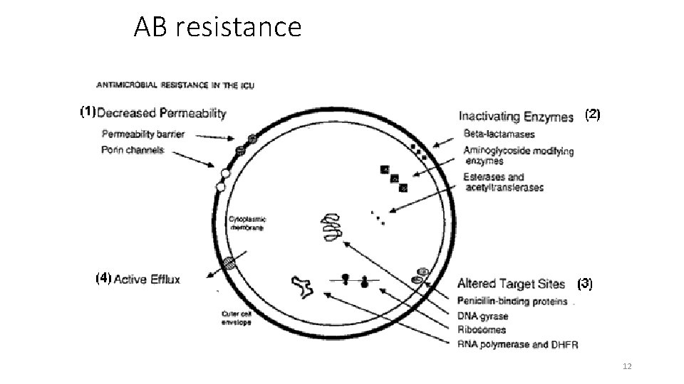 AB resistance 12 