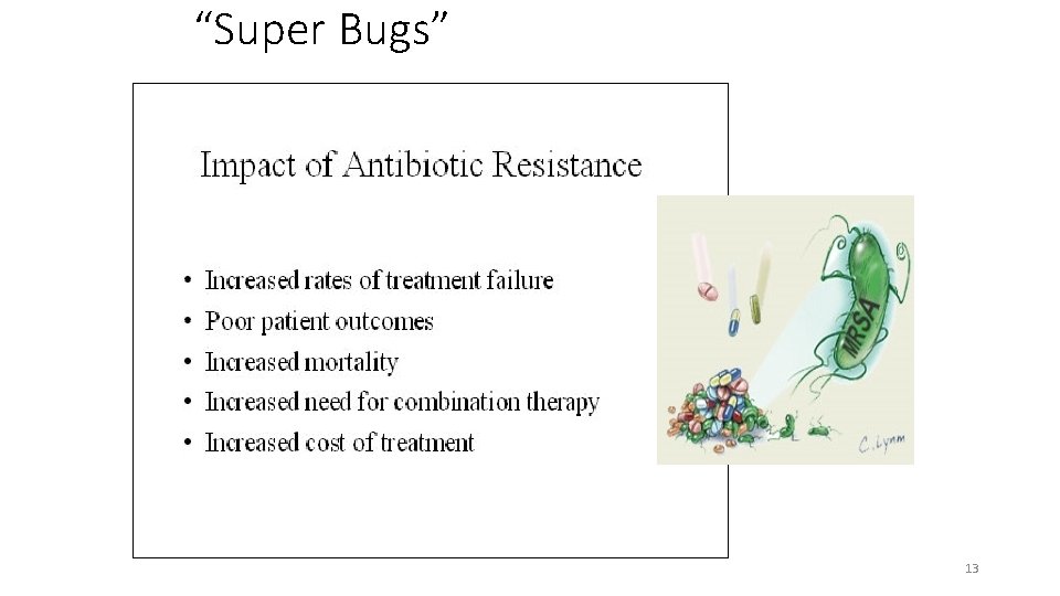 “Super Bugs” 13 