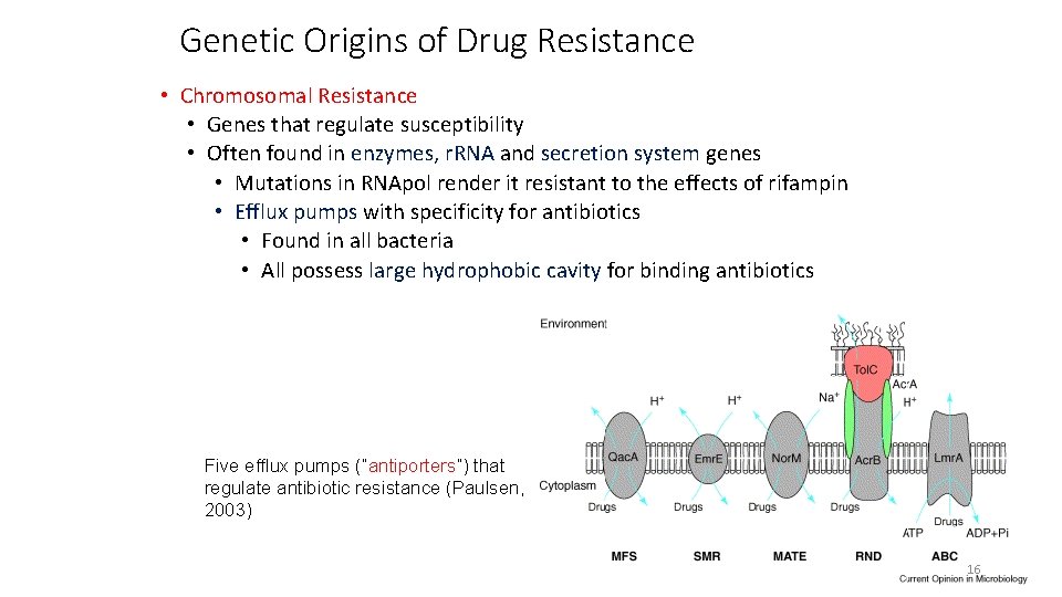 Genetic Origins of Drug Resistance • Chromosomal Resistance • Genes that regulate susceptibility •