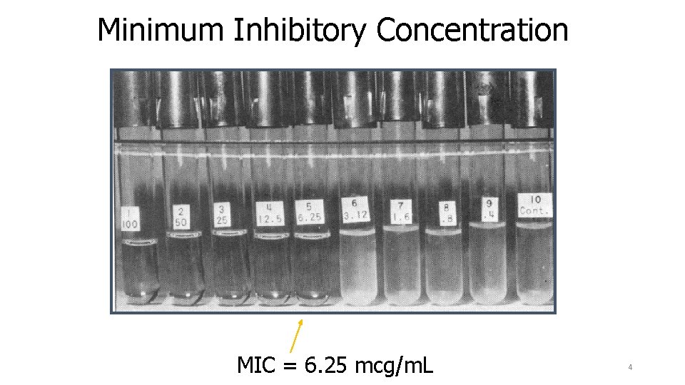Minimum Inhibitory Concentration MIC = 6. 25 mcg/m. L 4 