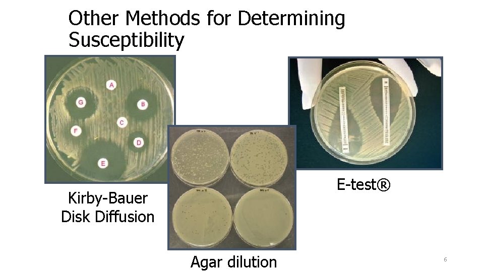 Other Methods for Determining Susceptibility E-test® Kirby-Bauer Disk Diffusion Agar dilution 6 