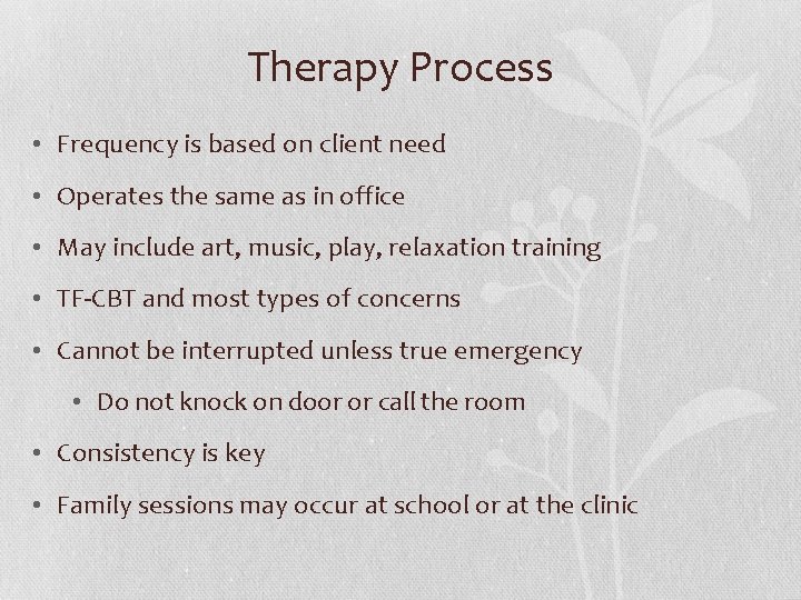 Therapy Process • Frequency is based on client need • Operates the same as