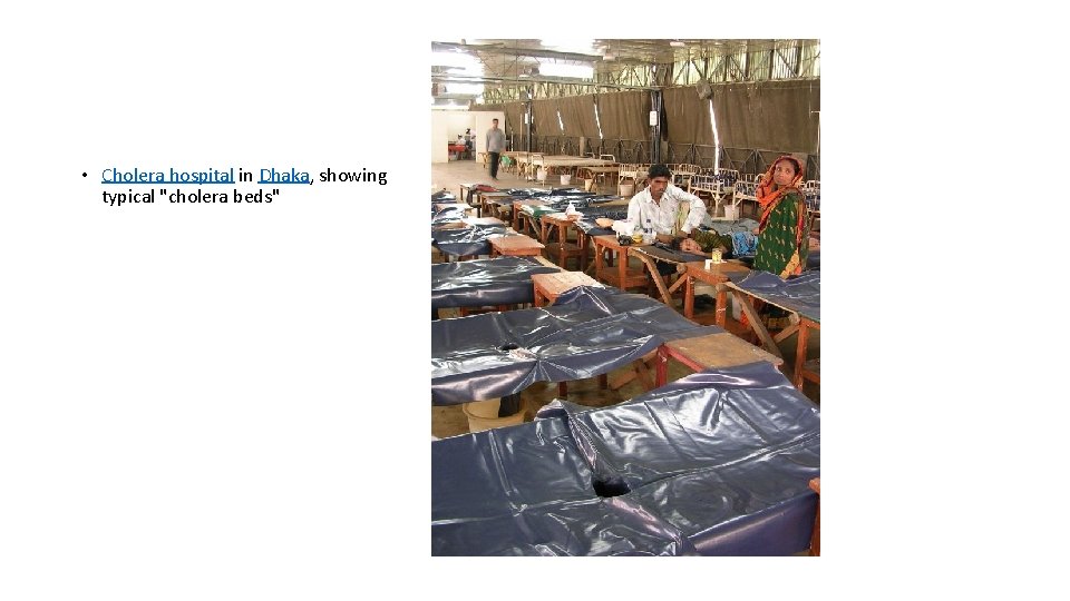  • Cholera hospital in Dhaka, showing typical "cholera beds" 