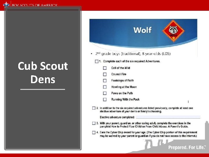 Cub Scout Dens 