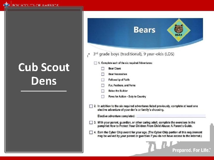 Cub Scout Dens 