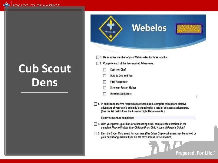 Cub Scout Dens 