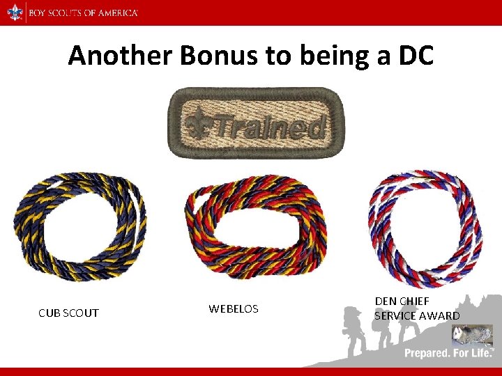 Another Bonus to being a DC CUB SCOUT WEBELOS DEN CHIEF SERVICE AWARD 