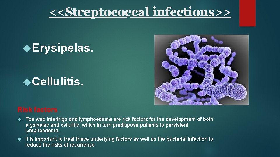 <<Streptococcal infections>> Erysipelas. Cellulitis. Risk factors Toe web intertrigo and lymphoedema are risk factors