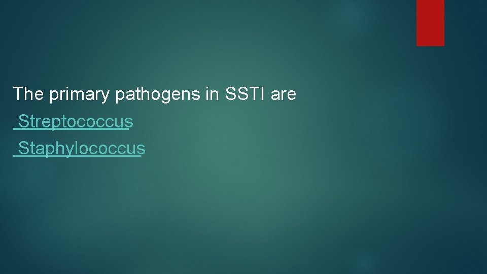 The primary pathogens in SSTI are Streptococcus Staphylococcus 